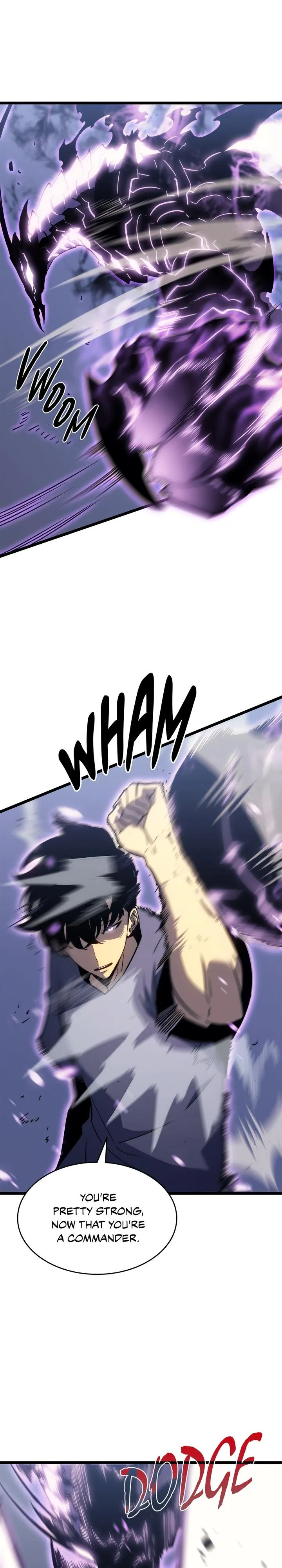 Solo Leveling Chapter 154 Page 24