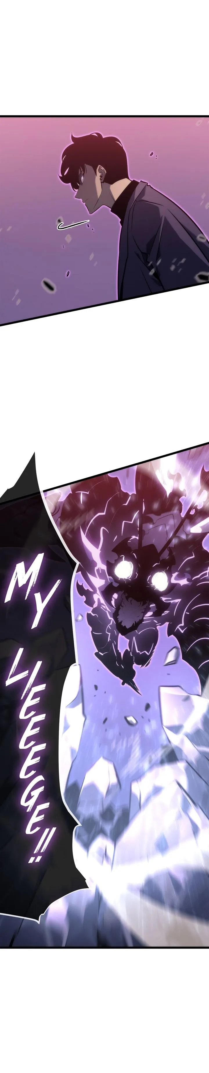 Solo Leveling Chapter 159 Image 13