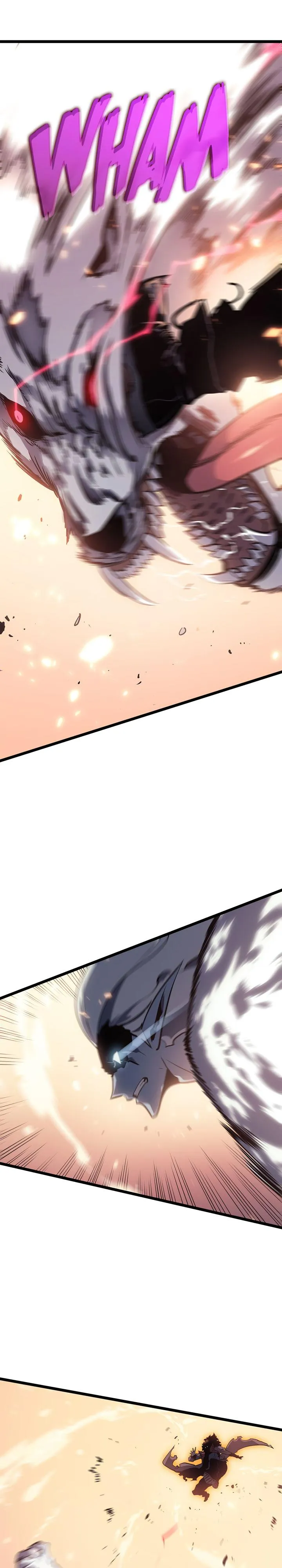 Solo Leveling Chapter 162 Image 20