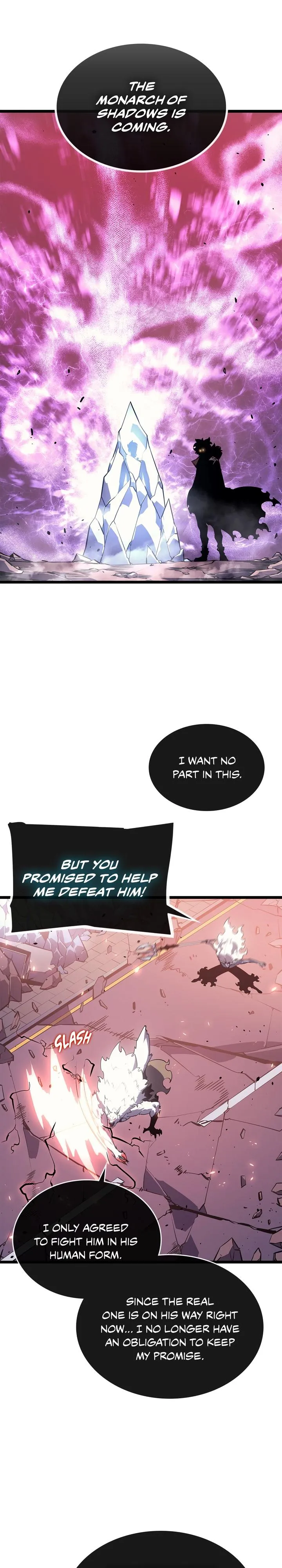 Solo Leveling Chapter 164 Image 24