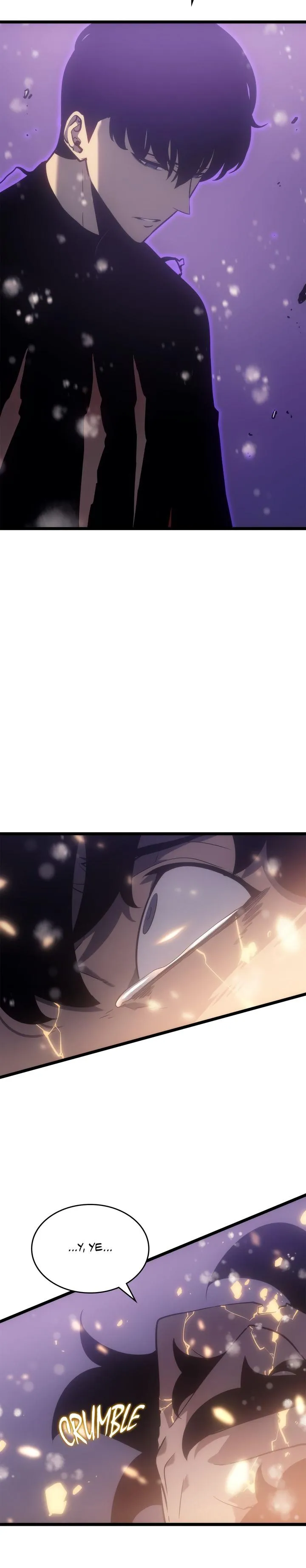 Solo Leveling Chapter 166 Image 14