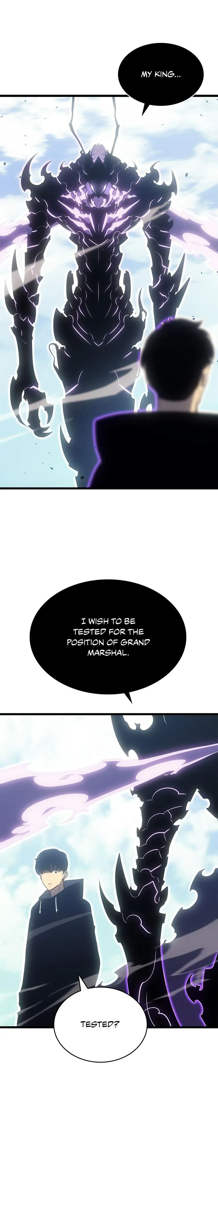 Solo Leveling Chapter 167 Page 25