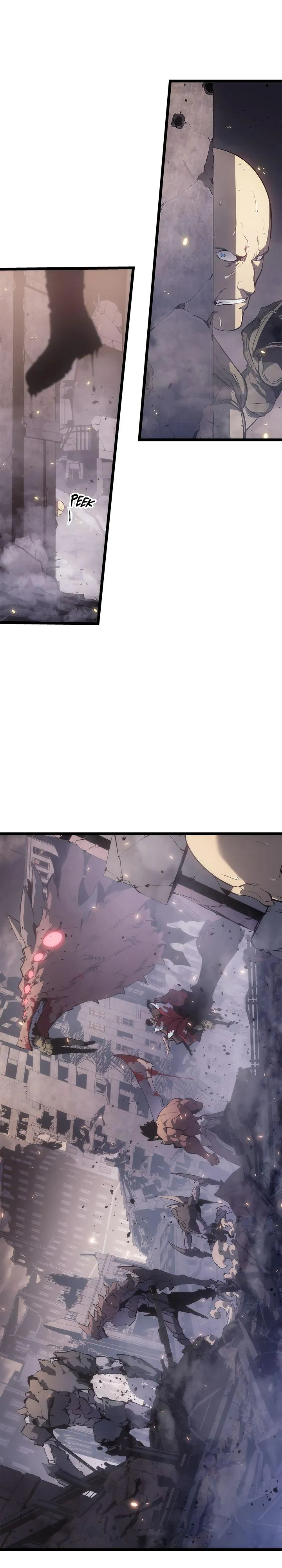 Solo Leveling Chapter 171 Image 25