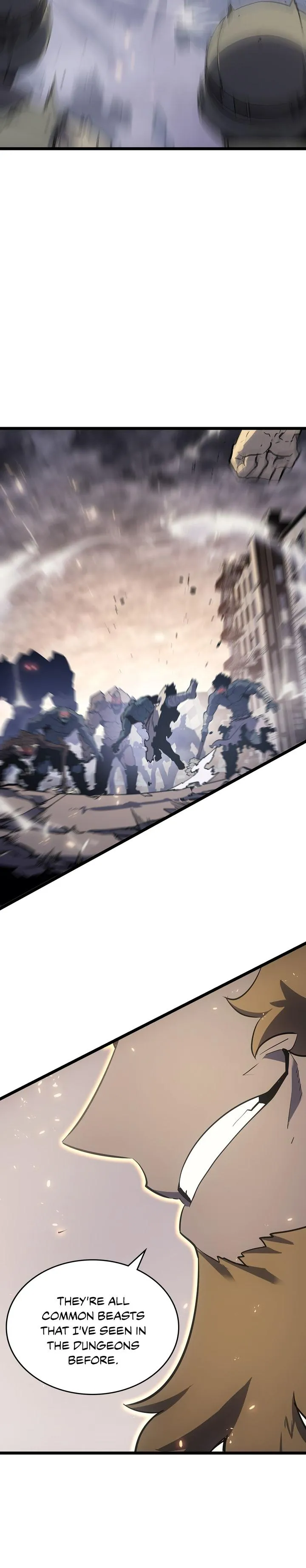 Solo Leveling Chapter 172 Image 26