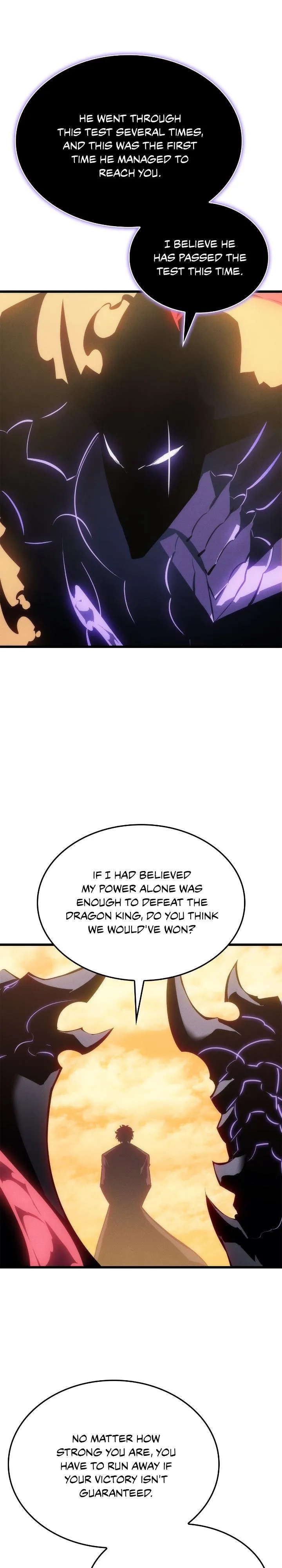 Solo Leveling Chapter 199 Page 24